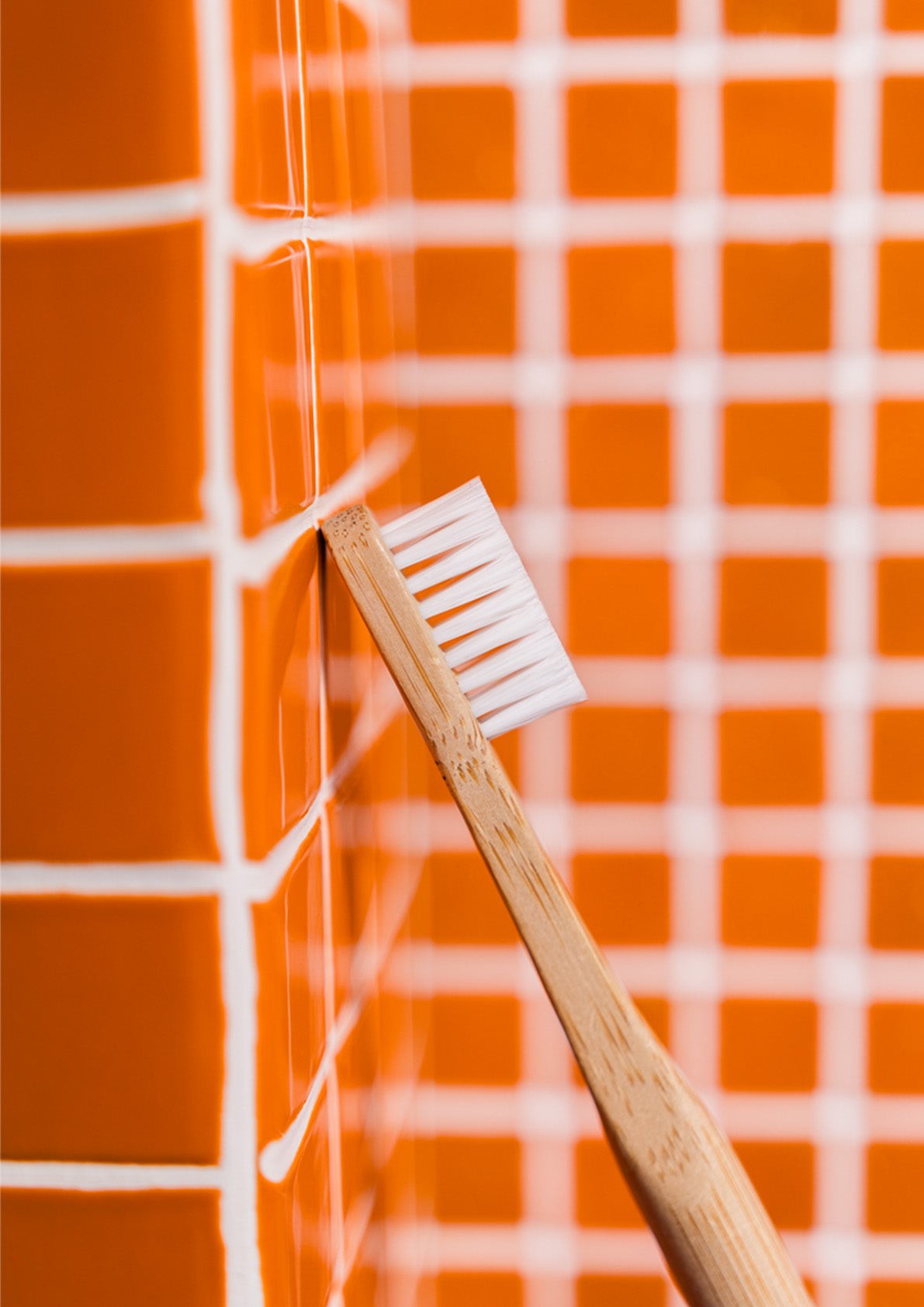 news-1191-1684 news-1191-1684